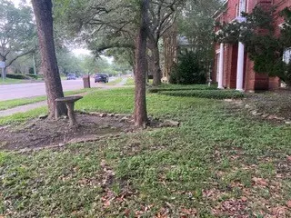 115 Eagle Lakes Drive, Friendswood, TX 77546 - #2