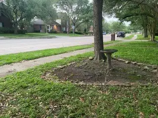 115 Eagle Lakes Drive, Friendswood, TX 77546 - #3