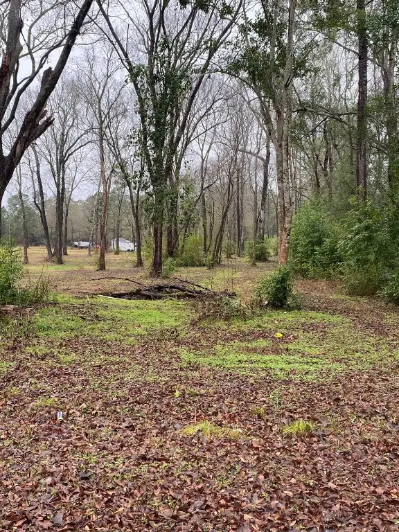 00 Cochran Street, Shepherd, TX 77371 - #1