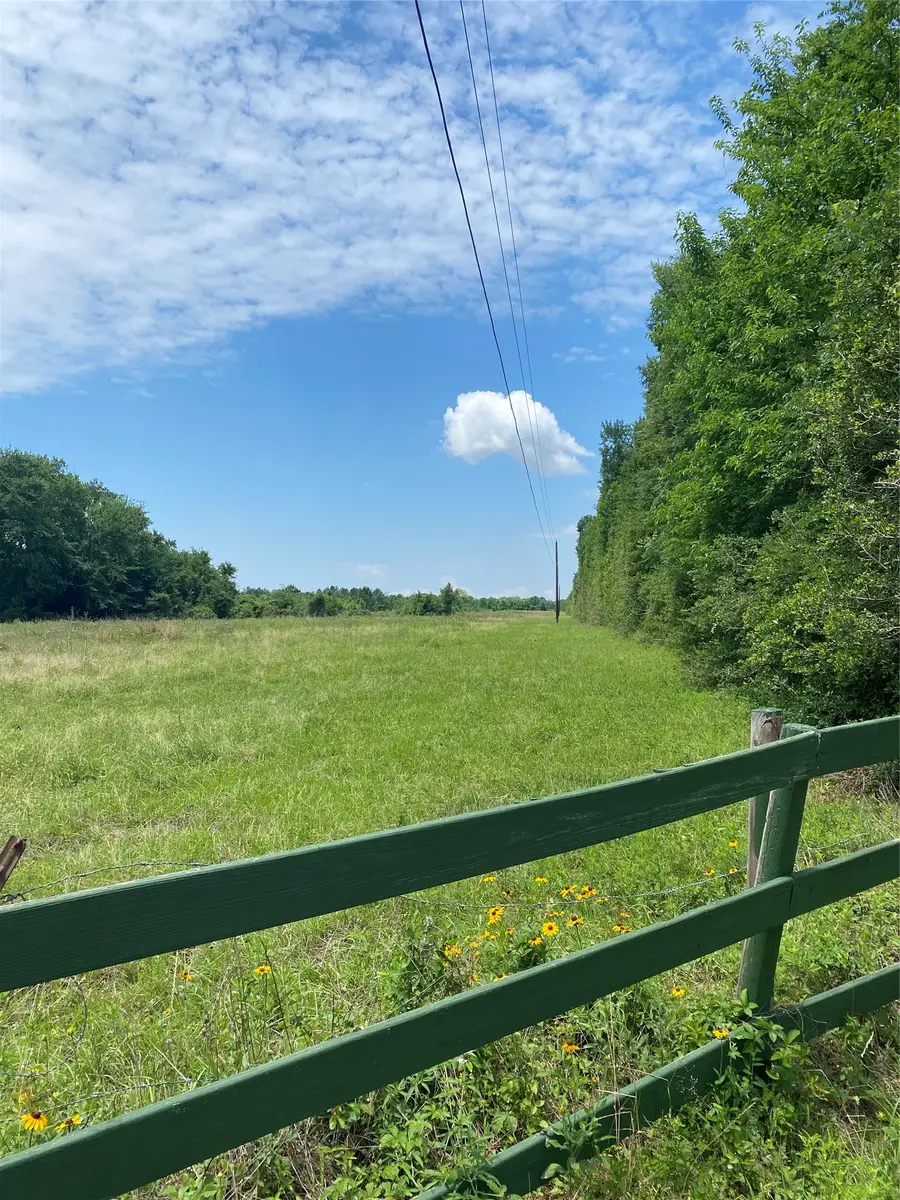 TBD Cr 204, Plantersville, TX 77363 - #2