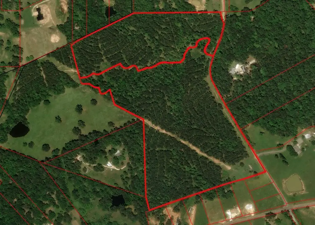 Tract 129/130 Fenley Flat Road, Pollok, TX 75969 - #1