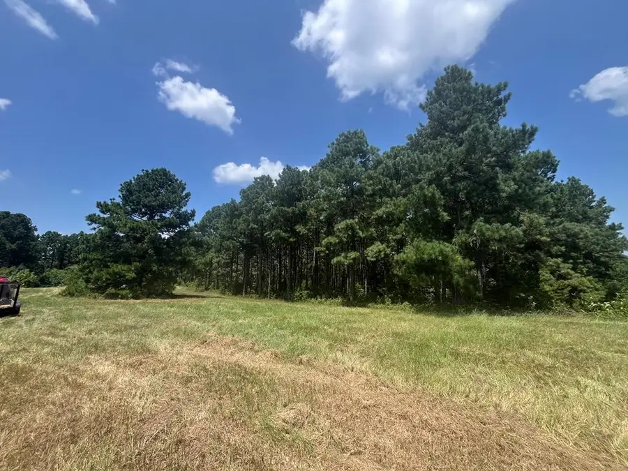 Tract 129/130 Fenley Flat Road, Pollok, TX 75969 - #3