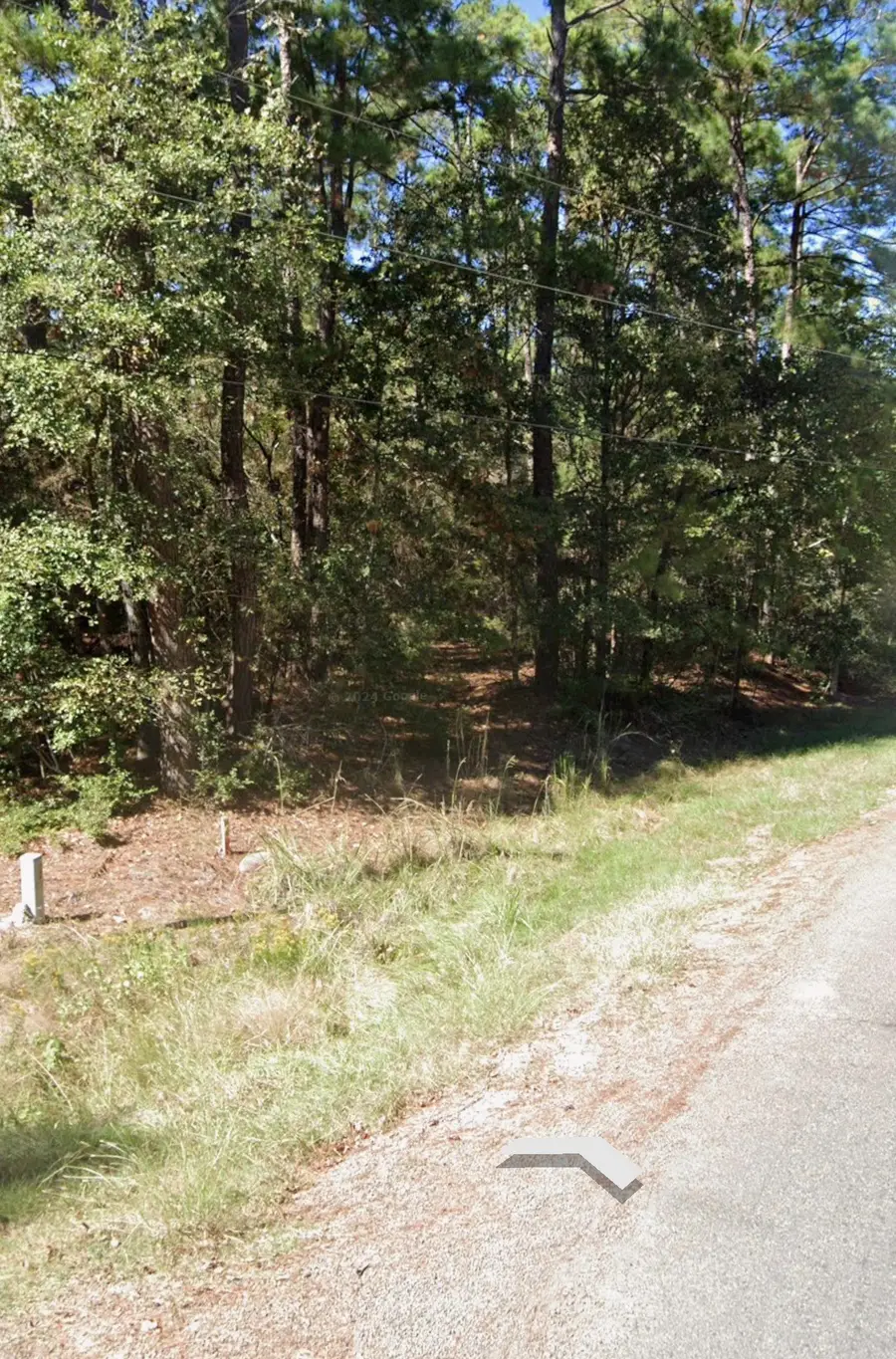 110 Pine Point Circle, Onalaska, TX 77360 - #3
