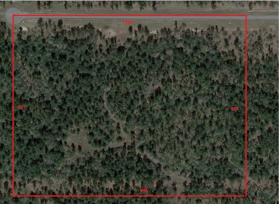 TBD Westview - 20 Acres, Huntsville, TX 77320 - Image #1