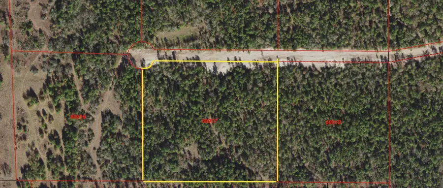 TBD Westview - 20 Acres, Huntsville, TX 77320 - Image #3