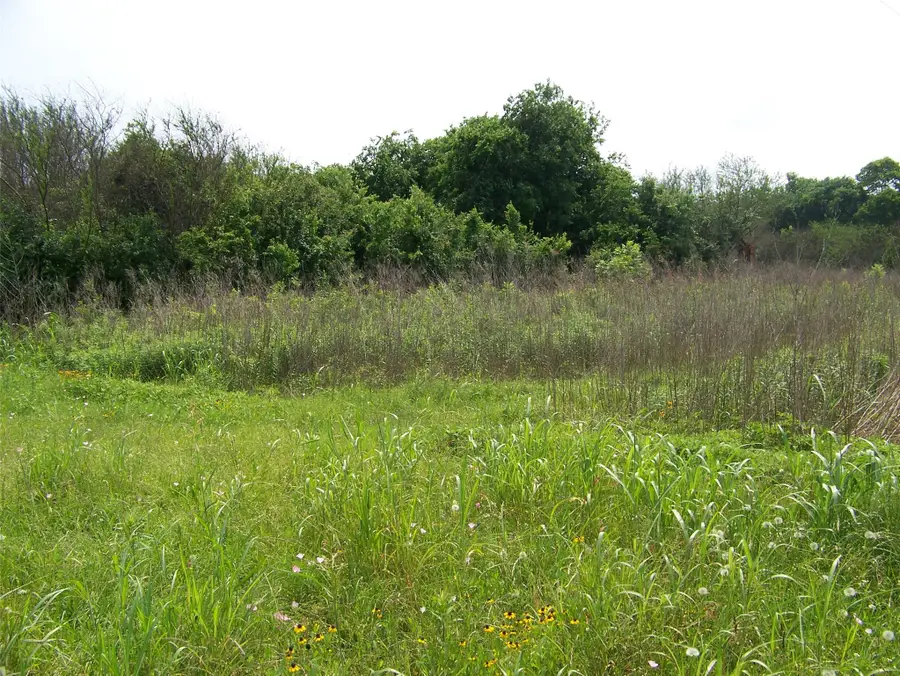 TBD Donigan Road, Brookshire, TX 77423 - #2