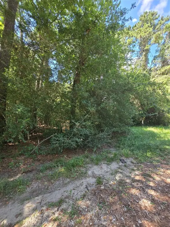 0 Bourgeois Forest Drive, Houston, TX 77066