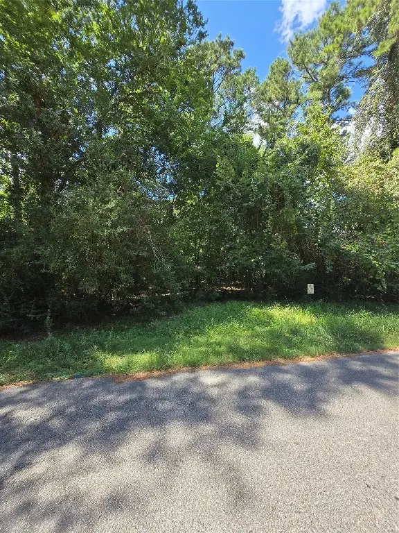 0 Bourgeois Forest Drive, Houston, TX 77066 - #2