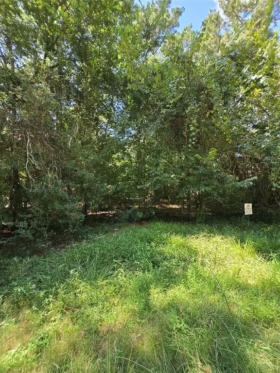 0 Bourgeois Forest Drive, Houston, TX 77066 - #3