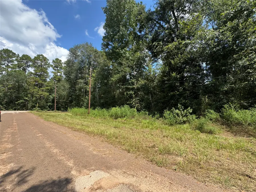 0 Mcrae Circle, Conroe, TX 77303 - Image #2