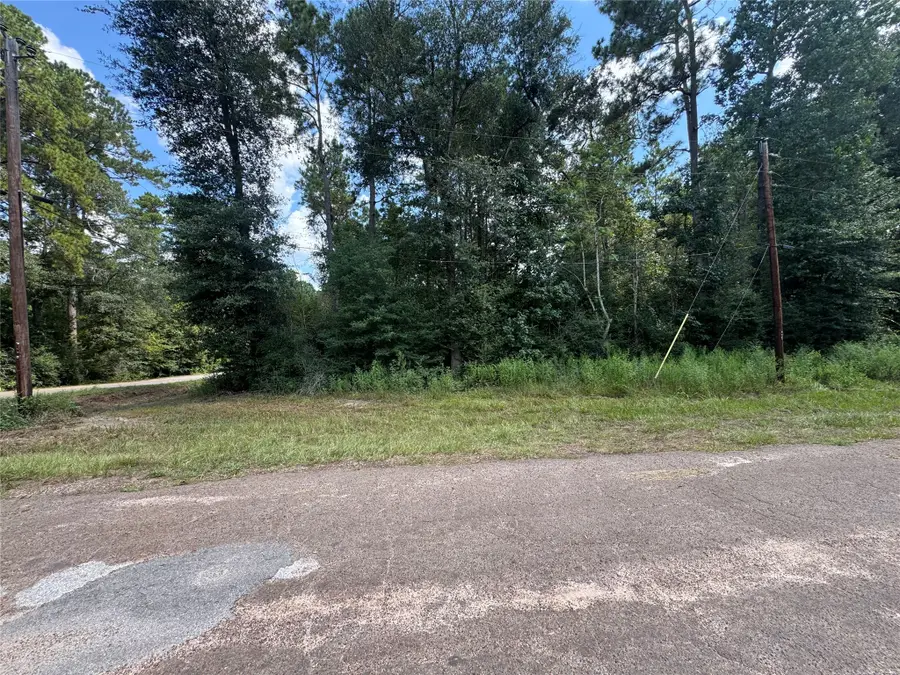 0 Mcrae Circle, Conroe, TX 77303 - Image #3