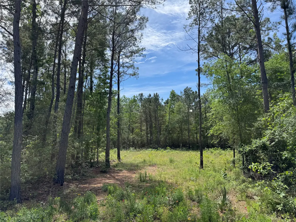 7705 Dog Wood Acres Drive, Montgomery, TX 77316 - #1