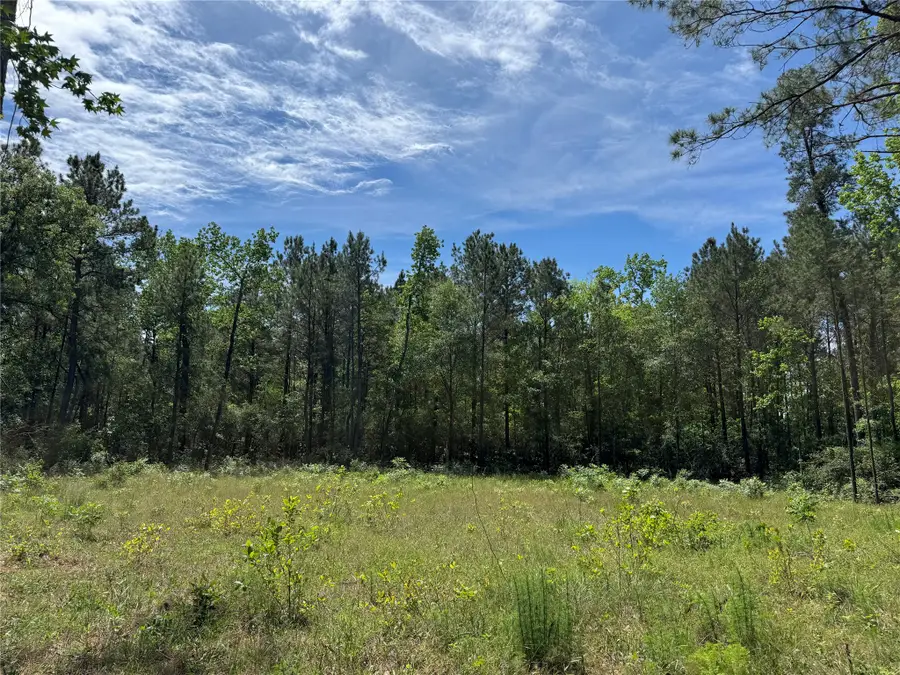 7705 Dog Wood Acres Drive, Montgomery, TX 77316 - #2