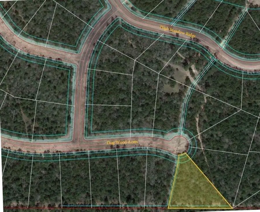 7705 Dog Wood Acres Drive, Montgomery, TX 77316 - #3