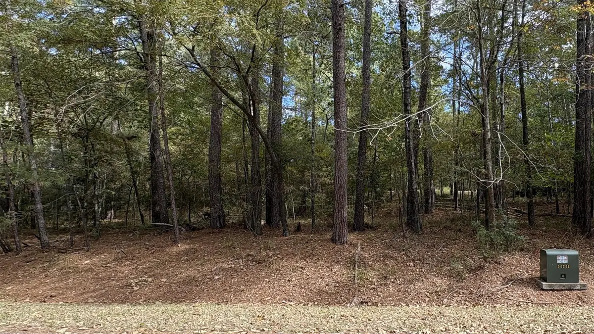 103 Green Tree Drive, Coldspring, TX 77331 - Image #1