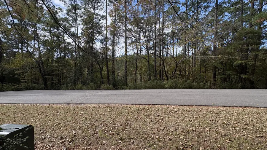 103 Green Tree Drive, Coldspring, TX 77331 - Image #3