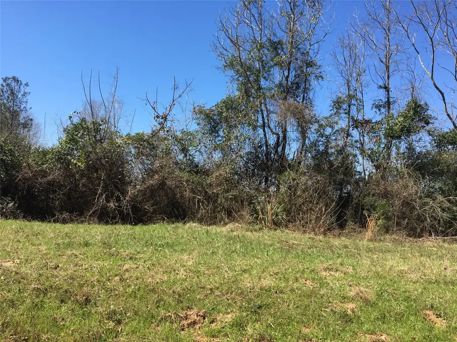 Lot11 County Road 175, Garrison, TX 75946 - #2
