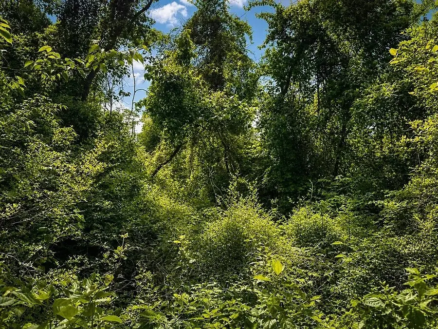 Lot11 County Road 175, Garrison, TX 75946 - #3