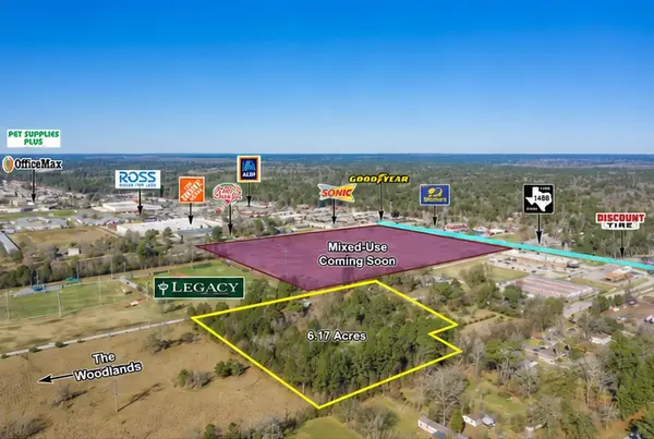 33222 Coe Lane, Magnolia, TX 77354