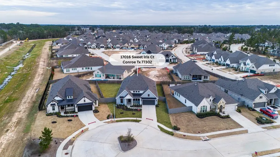 17016 Sweet Iris Court, Conroe, TX 77302 - #3