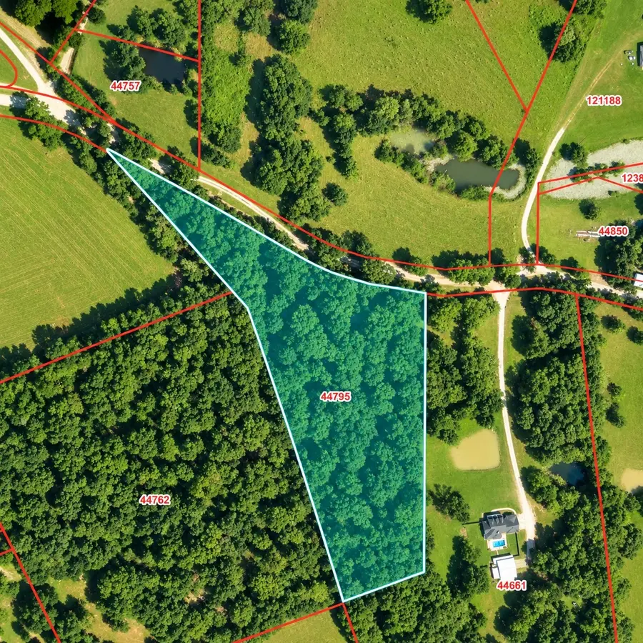 00 Shraderville Road, Shepherd, TX 77371 - #3