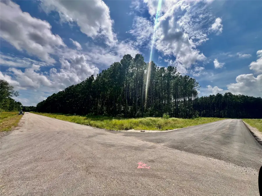 4445 Road 66122, Dayton, TX 77535 - #3