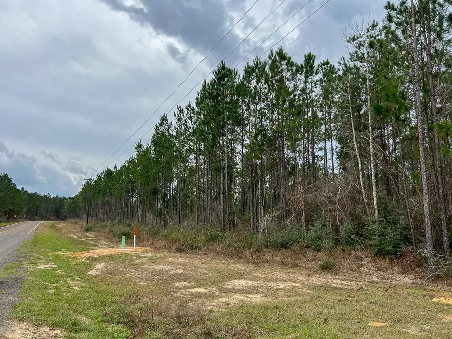 T-3 Farm To Market 1012, Newton, TX 75966 - #3