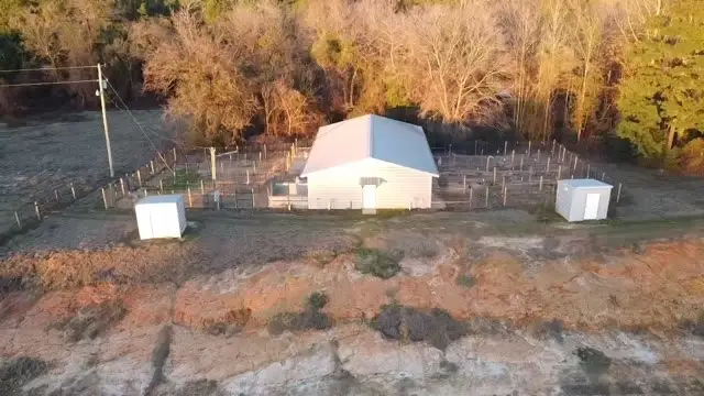 296 County Road 1548, Center, TX 75935 - #1