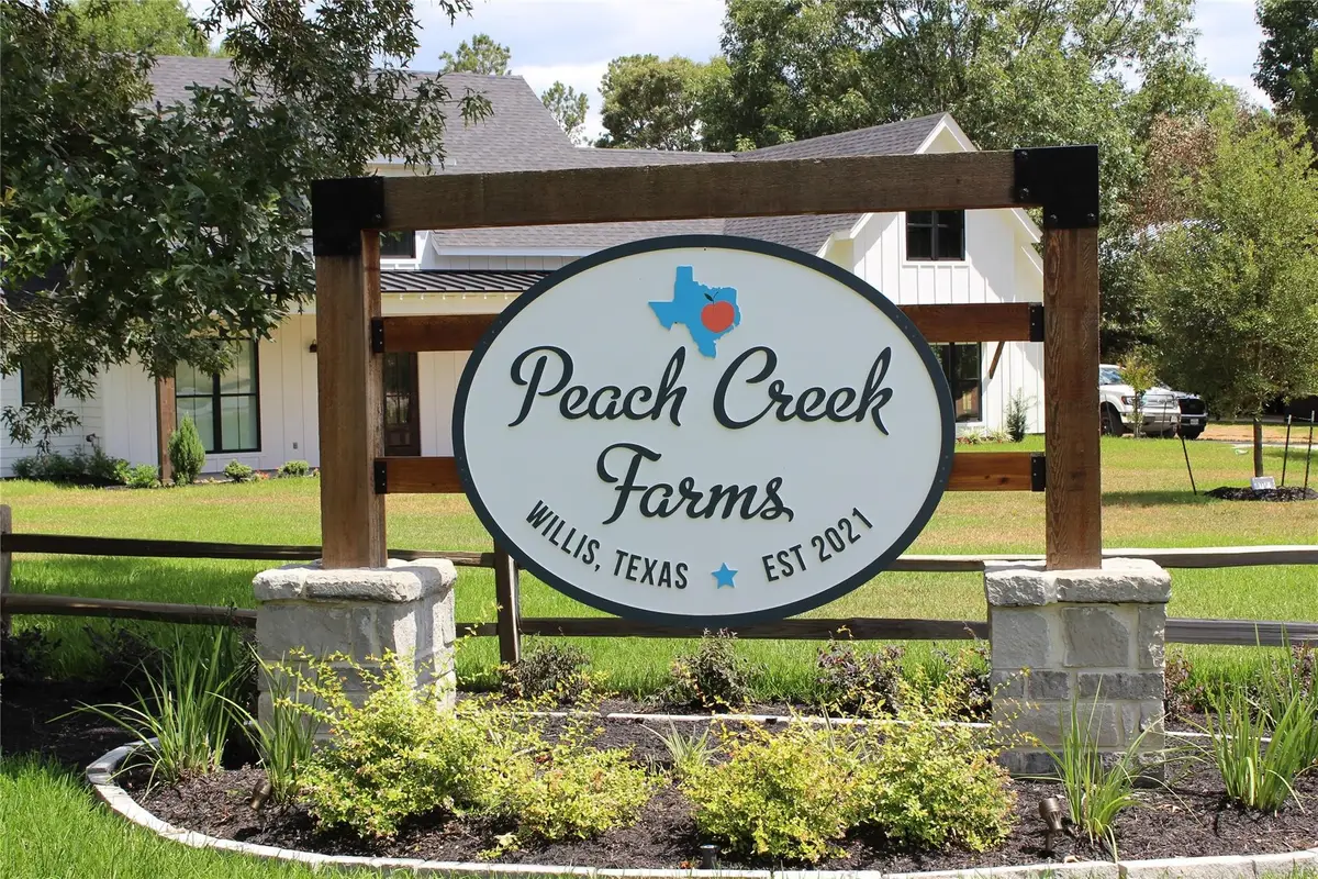 120 Quiet Springs Trail, Willis, TX 77378 - #1