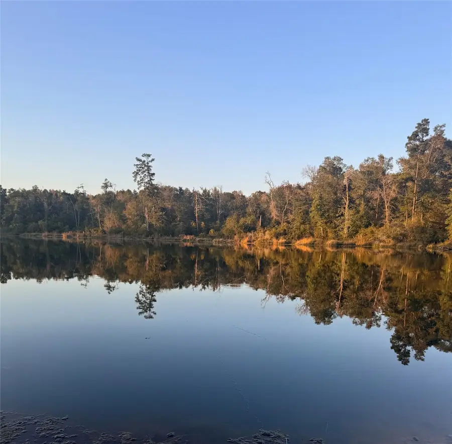 11755 Oakwood Ranch Drive, Willis, TX 77378 - Image #2