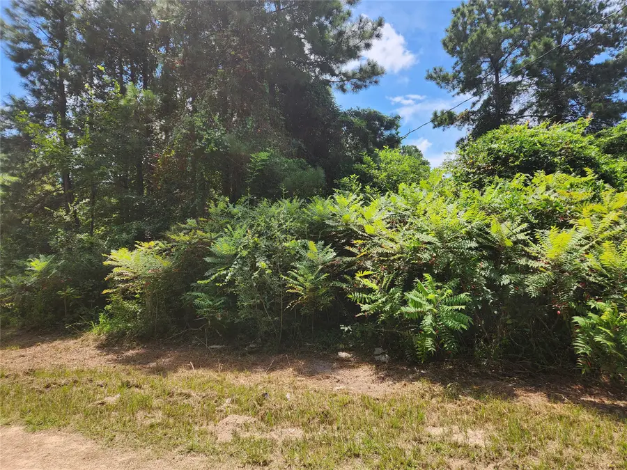 Lot 27 Mayhaw Lane, Plantersville, TX 77363 - #3
