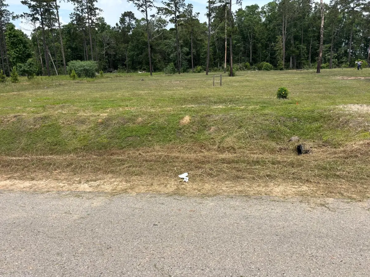 20039 Kincaid Drive, Conroe, TX 77306 - #1