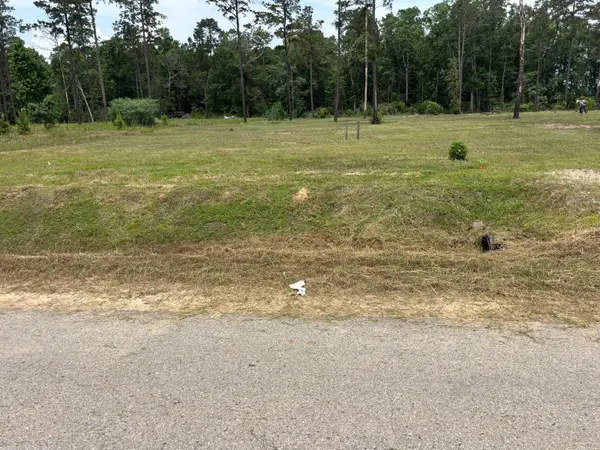 20039 Kincaid Drive, Conroe, TX 77306