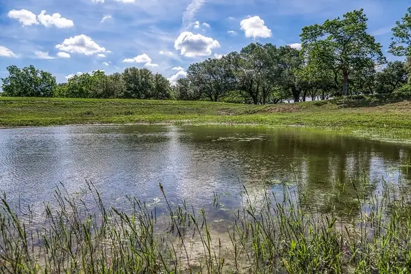 Tract 1 - Asa Hoxie Road E, Brenham, TX 77833