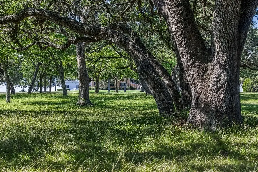Tract 1 - Asa Hoxie Road E, Brenham, TX 77833 - #2
