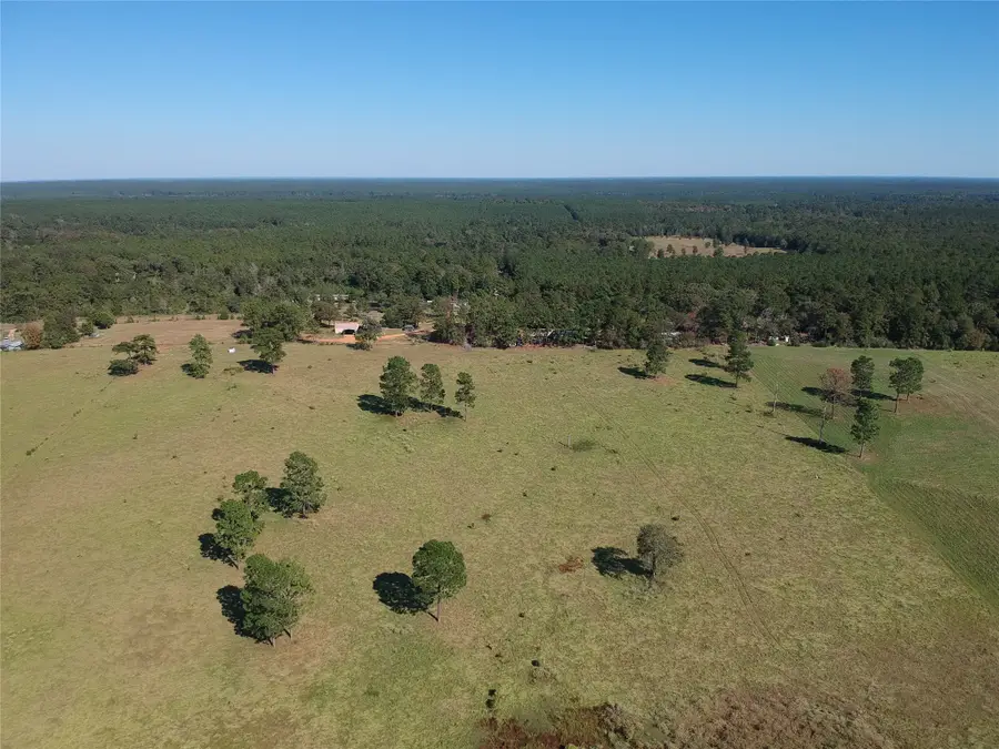 Lot 252 Lakeland Ranch, Hillister, TX 77624 - #2