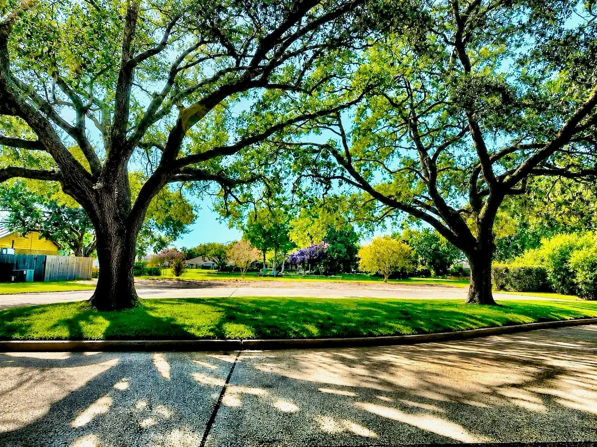 711 Salerno Street, Sugar Land, TX 77478 - #1
