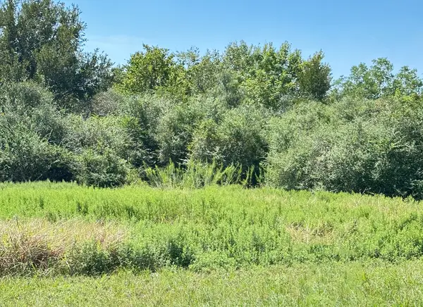 LT 1 24, Rock Island, TX 77470