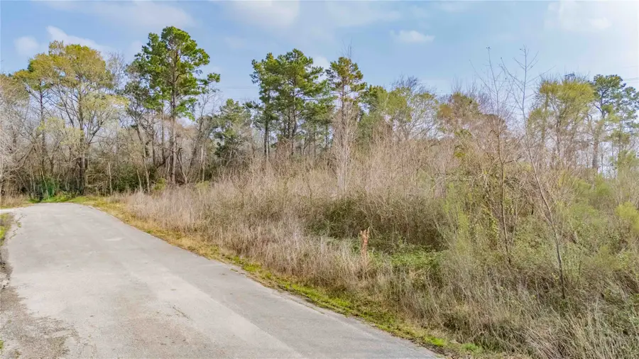 410 Pine Lake Drive, Northeast Harris, TX 77336 - #2