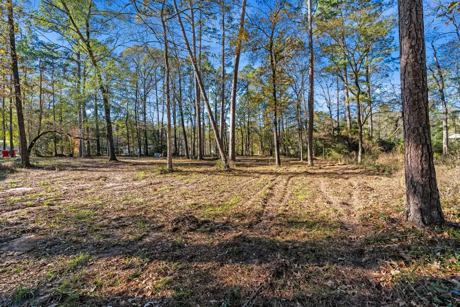49 Pine Oak Lane Lot 43, Huntsville, TX 77340 - Image #2