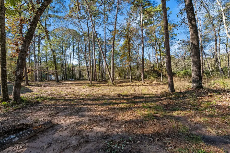 49 Pine Oak Lane Lot 43, Huntsville, TX 77340 - Image #3
