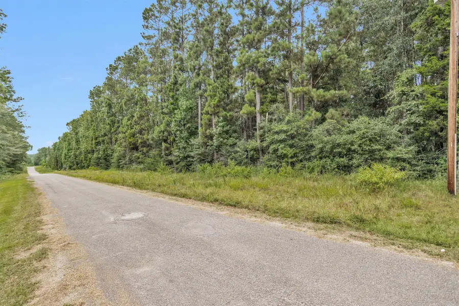 Lot 21 E Double Creek Road, Willis, TX 77378 - #3
