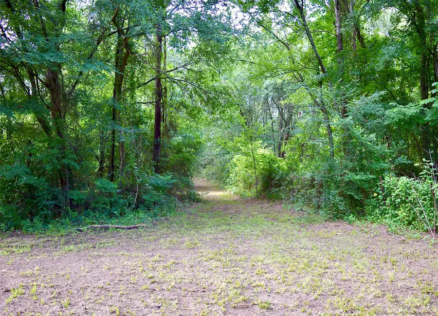 TBD Sharp Road, Montgomery, TX 77356 - #3