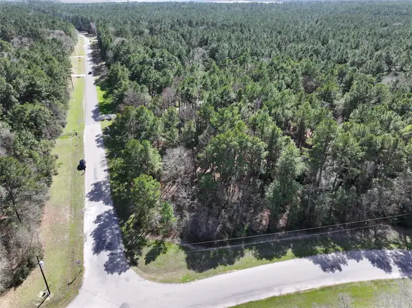 17582 E Terrace Oaks Drive, Waller, TX 77484