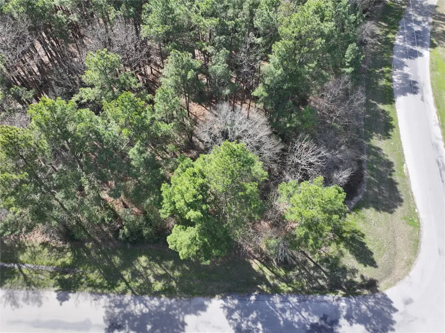 17582 E Terrace Oaks Drive, Waller, TX 77484 - #2