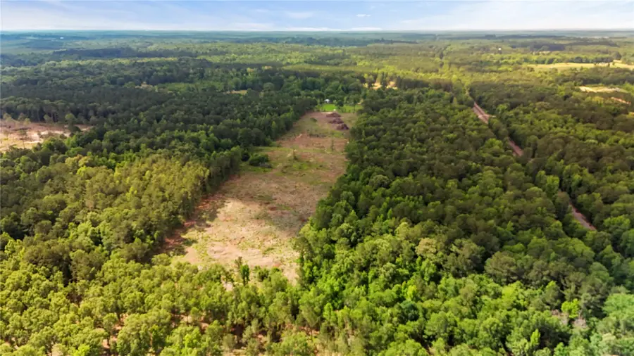 0 County Road 3993, Bloomburg, TX 75556 - #3