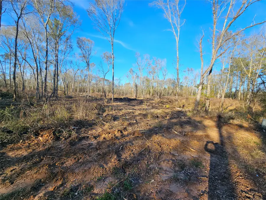 Lot 47 Sherwood Drive, Shepherd, TX 77371 - #2