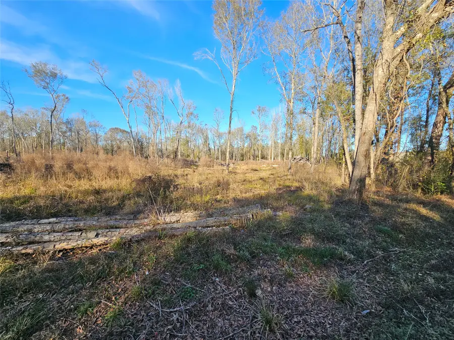 Lot 47 Sherwood Drive, Shepherd, TX 77371 - #3