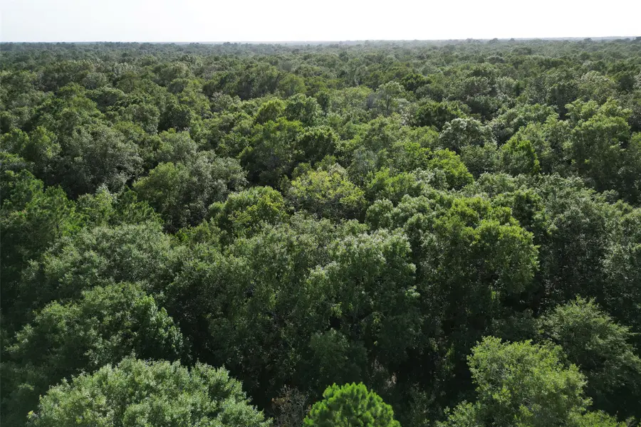 000 N Hwy 326, Kountze, TX 77625 - #2