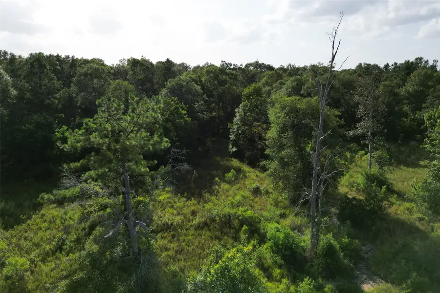 000 N Hwy 326, Kountze, TX 77625 - #3